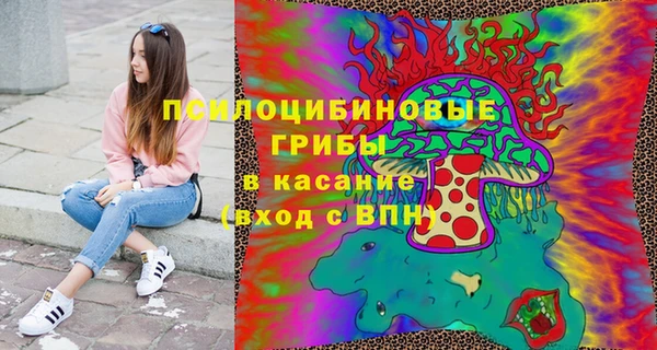 мяу мяу мука Михайлов