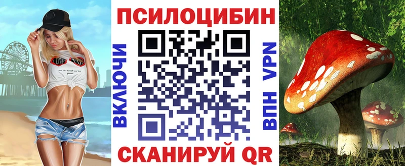 наркота  Армянск  Псилоцибиновые грибы мицелий 